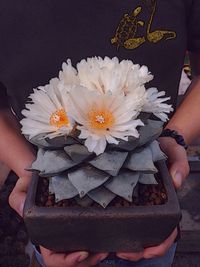 Close-up of flower bouquet