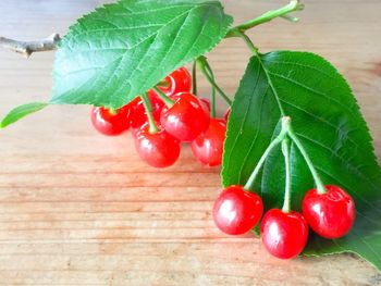 Close-up of cherries on branch