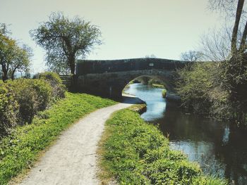 Footpath leading to stream