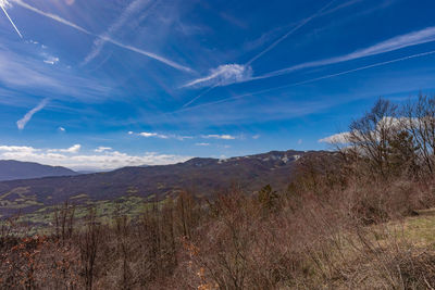 Scenic view of landscape against blue sky