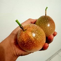 Close-up of hand holding apple