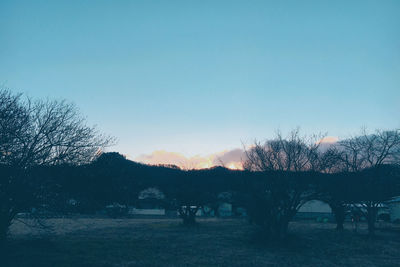 Bare trees on field against clear sky during sunset
