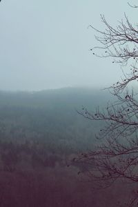 Scenic view of tree mountains against sky