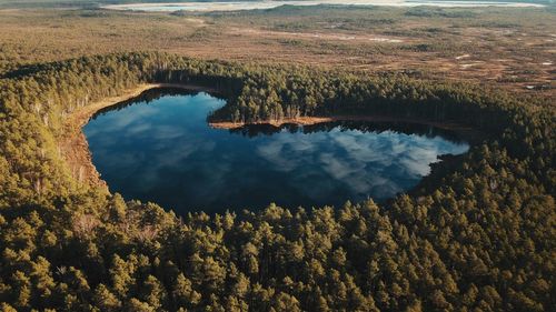 Bog lake in estonia 