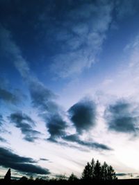 Low angle view of silhouette trees against blue sky