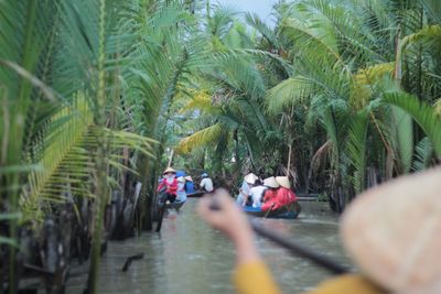 People on palm trees