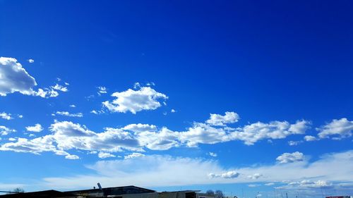 Low angle view of trees against blue sky