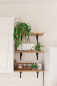 Potted plant on table at home