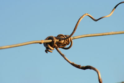 Close-up of clear blue sky