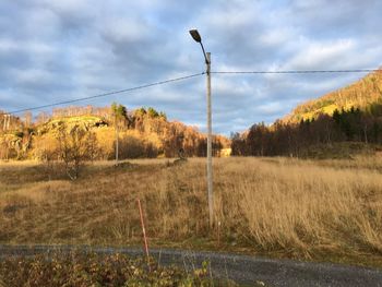 Trees on landscape against sky