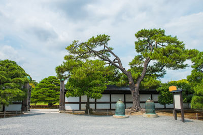 Trees and plants in park against sky