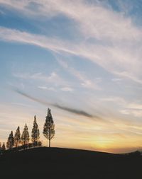 Silhouette trees on field against sky at sunset