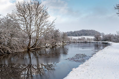 winter