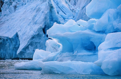 Floating icebergs from a glacier on the sea