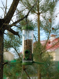 Close-up of drink on tree trunk