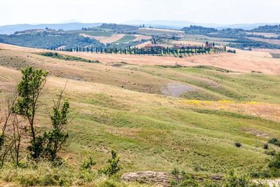 Panoramic view of traditional tuscany landscapes, siena province, tuscany, italy