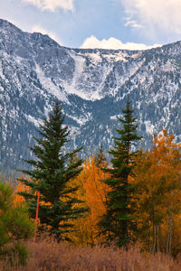 Scenic view of mountains during winter