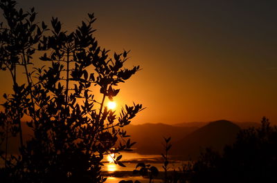 Silhouette trees by river and mountains against clear sky during sunset