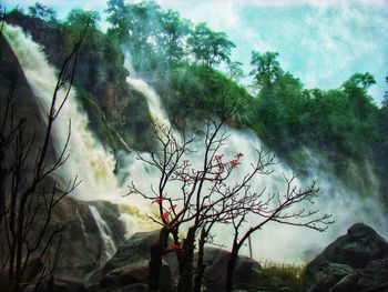 Trees in forest against sky