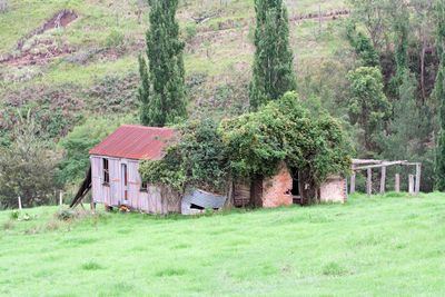 Trees on field by house in forest