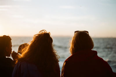 Rear view of friends by sea