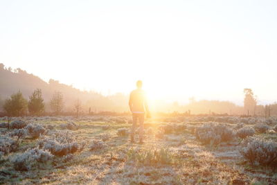 Scenic view of landscape at sunset