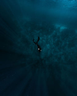 Low angle view of person swimming in sea