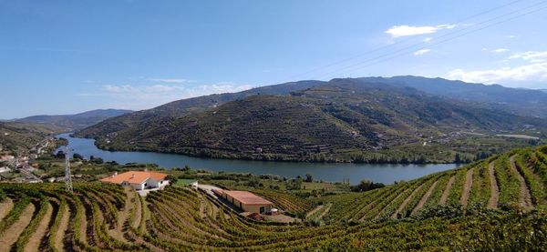 Terras do douro 