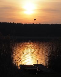 Silhouette of bird flying over lake during sunset