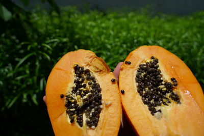 Close-up of orange slice