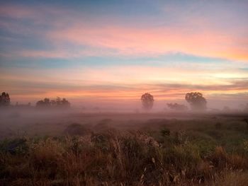 Scenic view of landscape against sky during sunset