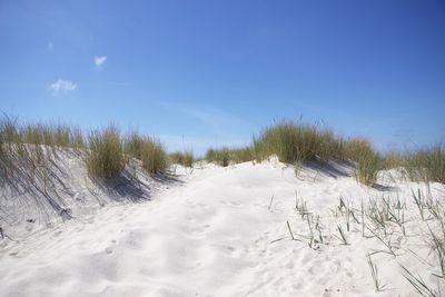 land