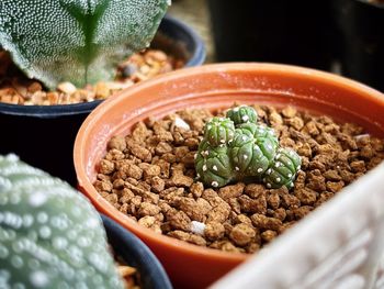 High angle view of breakfast on table