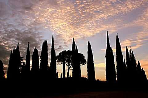 silhouette, sky, sunset, cloud - sky, low angle view, famous place, travel destinations, nature, tranquility, travel, scenics, tourism, dusk, cloud, beauty in nature, international landmark, tree, tranquil scene, outdoors, cloudy