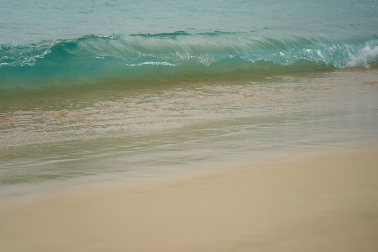 water, sea, land, wave, beach, wind wave, motion, ocean, beauty in nature, shore, sand, body of water, water sports, nature, scenics - nature, sports, surfing, coast, horizon, day, outdoors, tranquility, sky, tranquil scene, idyllic