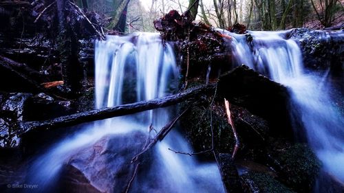 Waterfall in forest