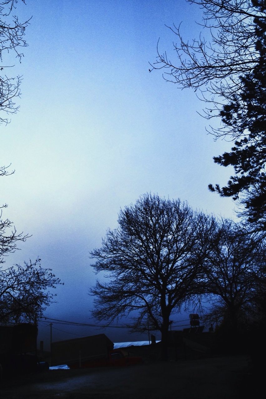 tree, bare tree, clear sky, silhouette, branch, tranquility, tranquil scene, copy space, sky, nature, blue, beauty in nature, scenics, landscape, outdoors, no people, dusk, growth, day, non-urban scene