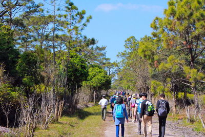 People walking in forest