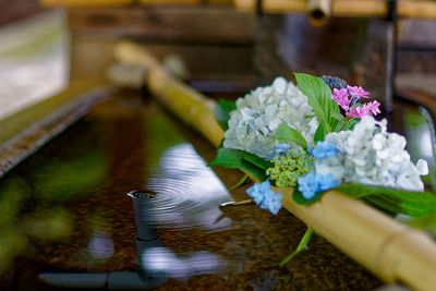 Close-up of flowering plant on table