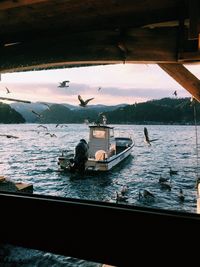 Boats in sea