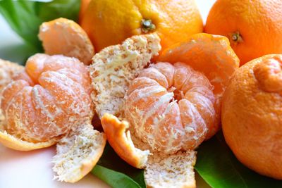 Close-up of orange fruits