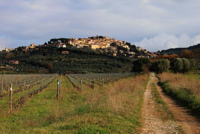 Scenic view of landscape against sky