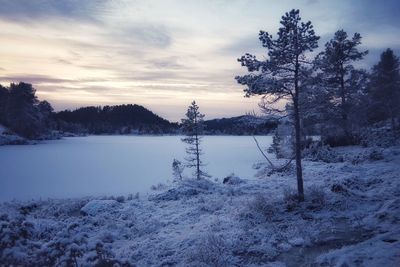 Scenic view of lake against sky during winter