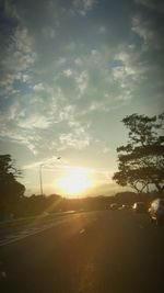 Sun shining through trees