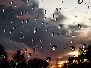 Close-up of raindrops on glass window