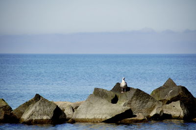 Rocks in sea against sky