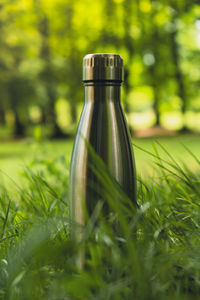 Water bottle. reusable steel thermo water bottle on green grass. sustainable lifestyle. plastic free