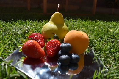 Close-up of strawberries on field