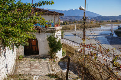 Plants and building by the river