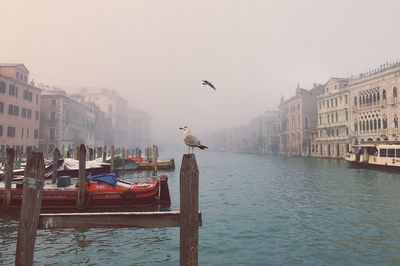 Scenic view of city against sky